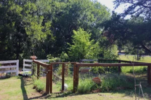 Ennis-rehab-center-garden