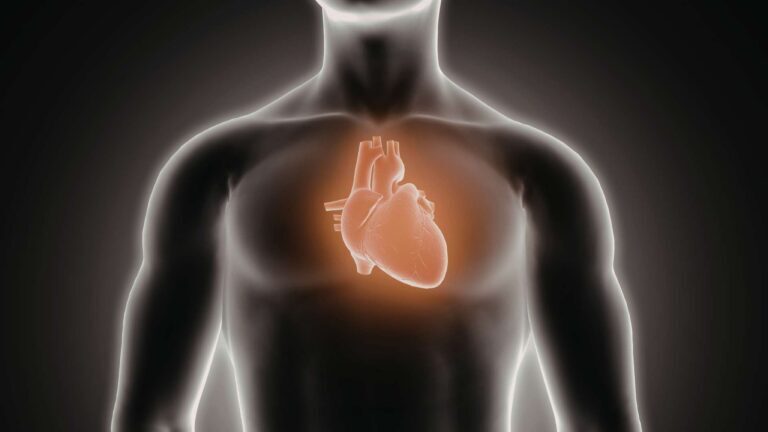 What Cocaine Does to Your Heart Cardiac Risks Explained