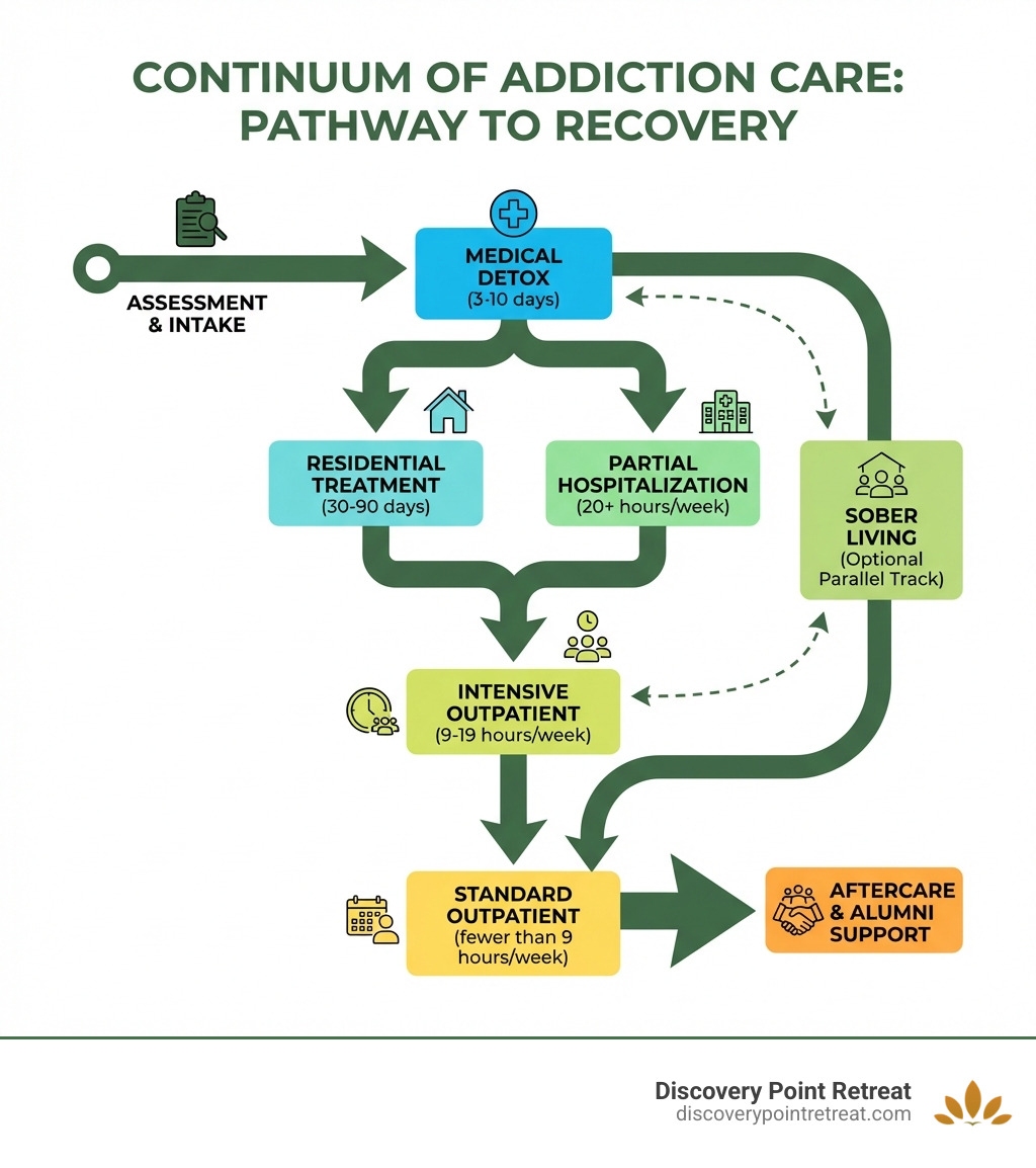 Infographic showing the continuum of addiction care: Assessment and Intake leading to Medical Detox (3-10 days), then branching to either Residential Treatment (30-90 days) or Partial Hospitalization (20+ hours/week), flowing down through Intensive Outpatient (9-19 hours/week), Standard Outpatient (fewer than 9 hours/week), and finally Aftercare and Alumni Support, with Sober Living as an optional parallel track - rehab centers dallas tx infographic 