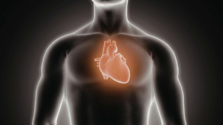 What Cocaine Does to Your Heart Cardiac Risks Explained